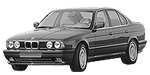 BMW E34 P290E Fault Code